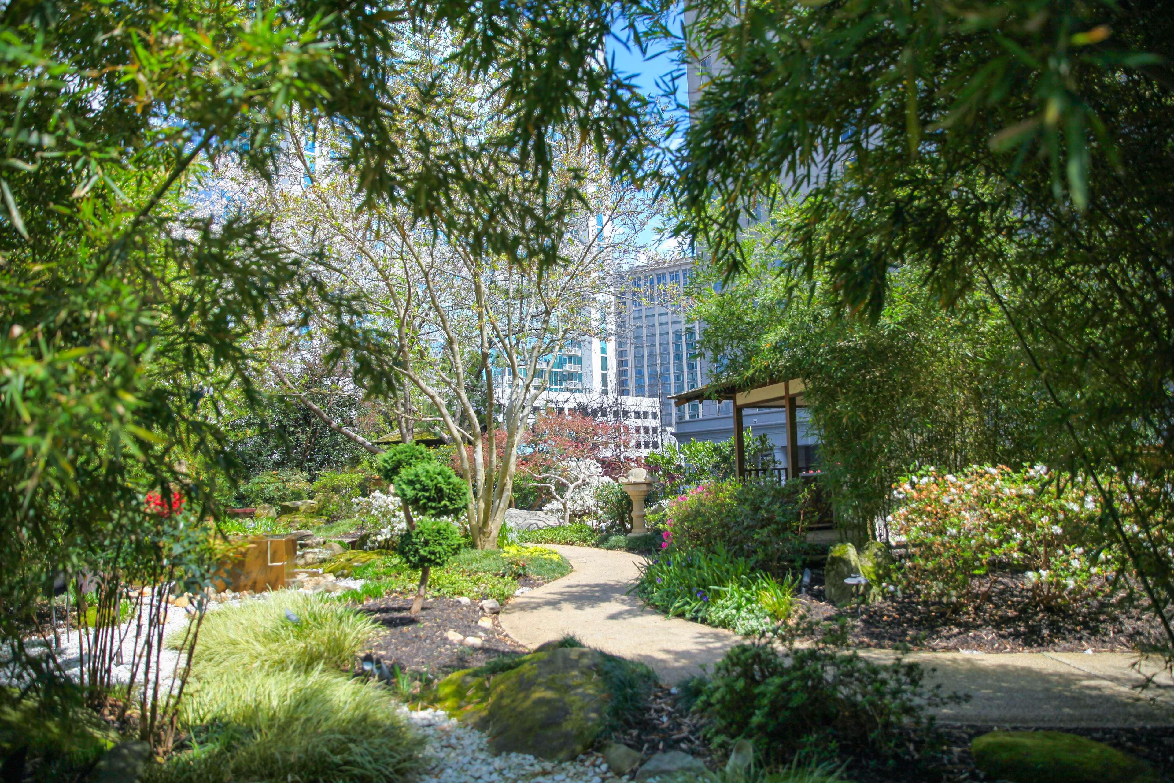Grand Hyatt Atlanta In Buckhead Hotel Buitenkant foto