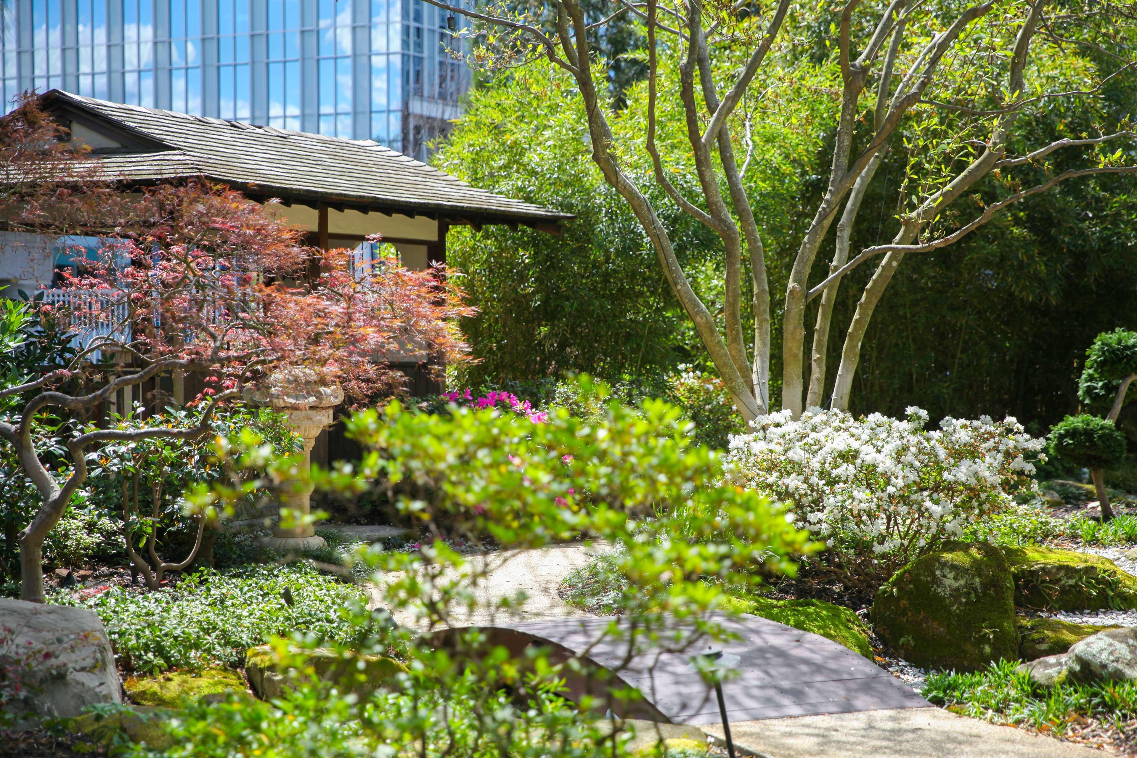 Grand Hyatt Atlanta In Buckhead Hotel Buitenkant foto